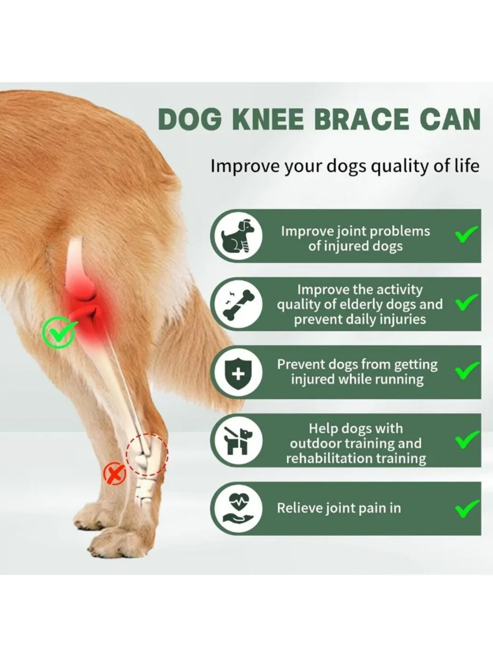 Adjustable Dog Knee Brace for Torn ACL - Metal Stabilizer, Warm & Stable